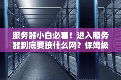 服务器小白必看！进入服务器到底要接什么网？保姆级科普指南