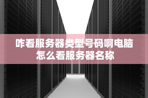 咋看服务器类型号码啊电脑 怎么看服务器名称