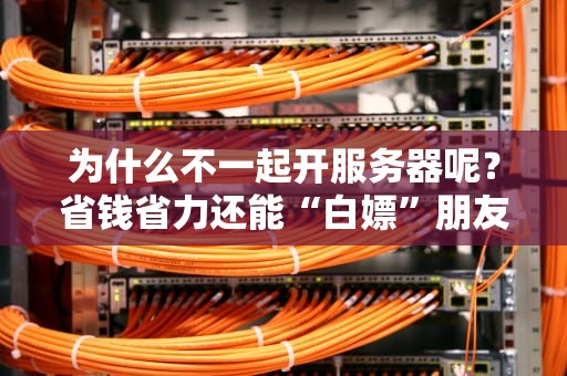 为什么不一起开服务器呢？省钱省力还能“白嫖”朋友的硬件！