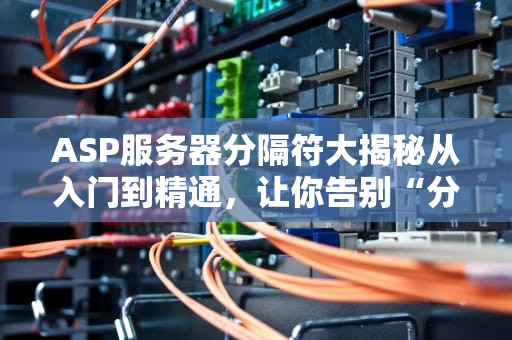 ASP服务器分隔符大揭秘从入门到精通，让你告别“分隔符恐惧症”！