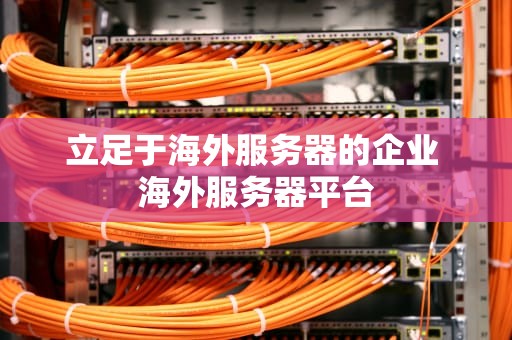 立足于海外服务器的企业 海外服务器平台