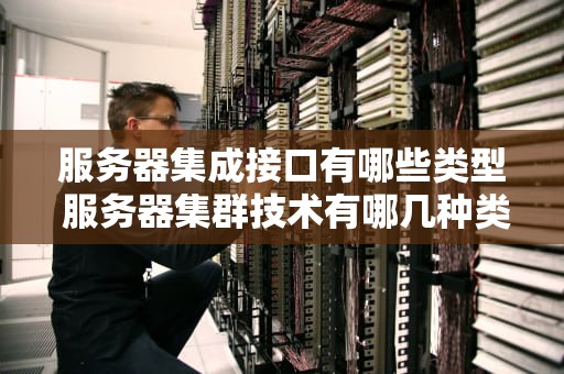 服务器集成接口有哪些类型 服务器集群技术有哪几种类型