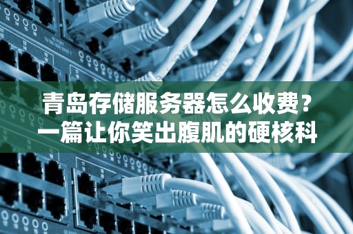 青岛存储服务器怎么收费？一篇让你笑出腹肌的硬核科普！