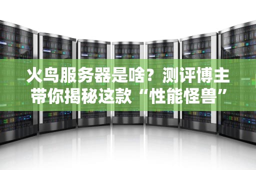 火鸟服务器是啥？测评博主带你揭秘这款“性能怪兽”的真相！