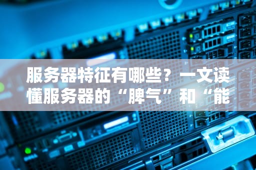 服务器特征有哪些？一文读懂服务器的“脾气”和“能耐”！