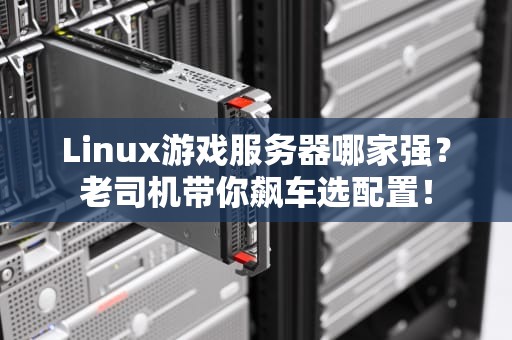 Linux游戏服务器哪家强？老司机带你飙车选配置！