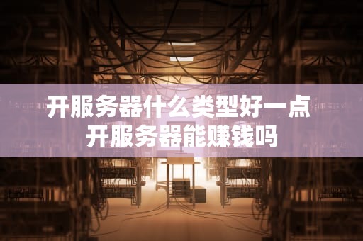 开服务器什么类型好一点 开服务器能赚钱吗