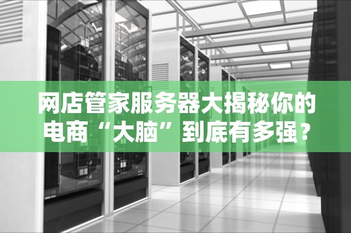 网店管家服务器大揭秘你的电商“大脑”到底有多强？