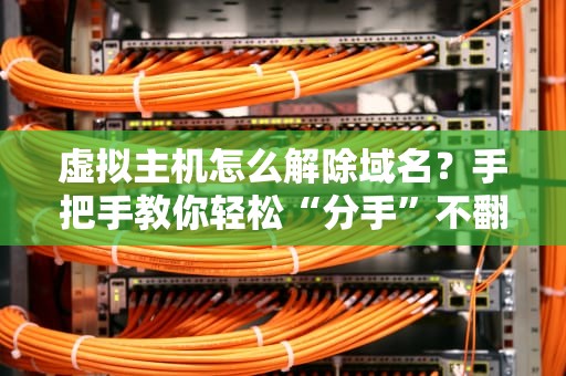 虚拟主机怎么解除域名？手把手教你轻松“分手”不翻车！