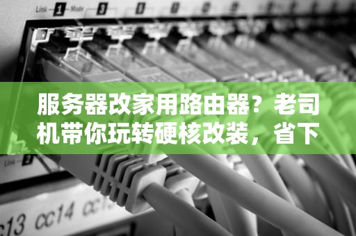 服务器改家用路由器？老司机带你玩转硬核改装，省下一台华硕的钱！