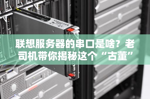 联想服务器的串口是啥？老司机带你揭秘这个“古董”接口的妙用！
