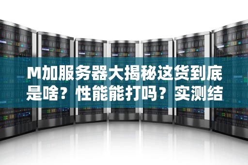 M加服务器大揭秘这货到底是啥？性能能打吗？实测结果笑中带泪！
