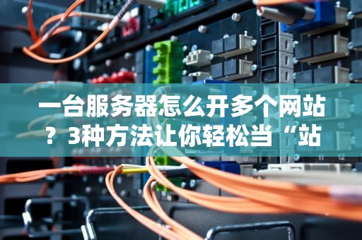 一台服务器怎么开多个网站？3种方法让你轻松当“站长房东”！