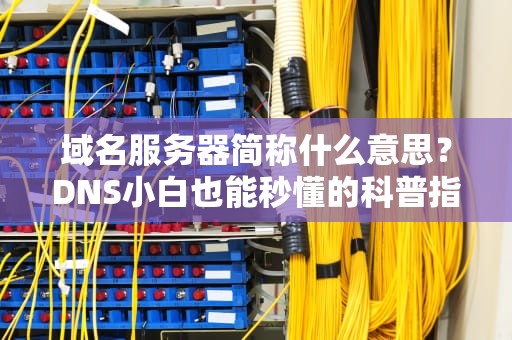 域名服务器简称什么意思？DNS小白也能秒懂的科普指南！