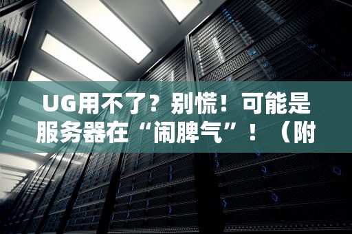 UG用不了？别慌！可能是服务器在“闹脾气”！（附专业排查指南）