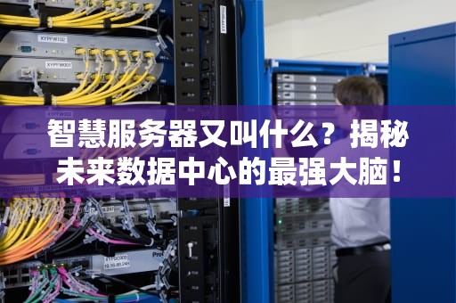智慧服务器又叫什么？揭秘未来数据中心的最强大脑！