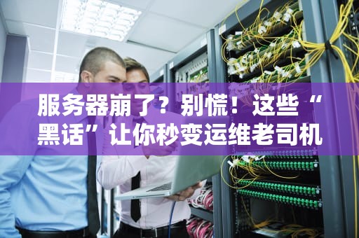 服务器崩了？别慌！这些“黑话”让你秒变运维老司机