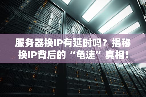 服务器换IP有延时吗？揭秘换IP背后的“龟速”真相！
