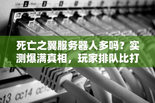 死亡之翼服务器人多吗？实测爆满真相，玩家排队比打BOSS还难！