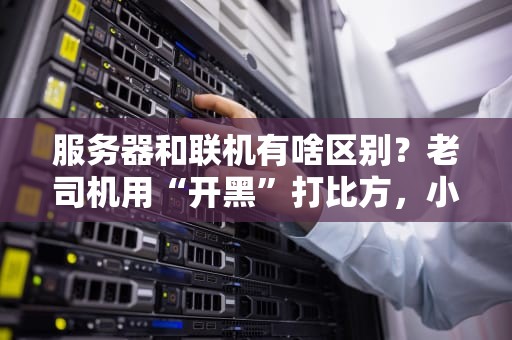 服务器和联机有啥区别？老司机用“开黑”打比方，小白秒懂！