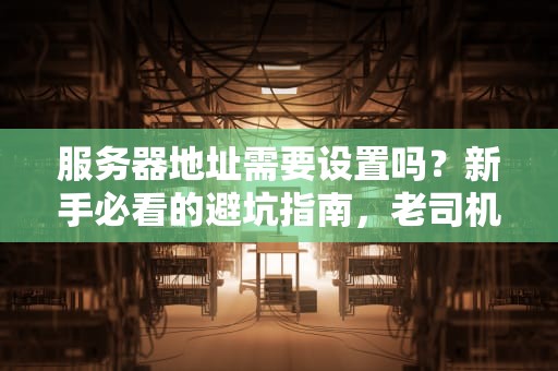 服务器地址需要设置吗？新手必看的避坑指南，老司机都直呼内行！