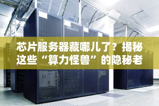 芯片服务器藏哪儿了？揭秘这些“算力怪兽”的隐秘老巢！