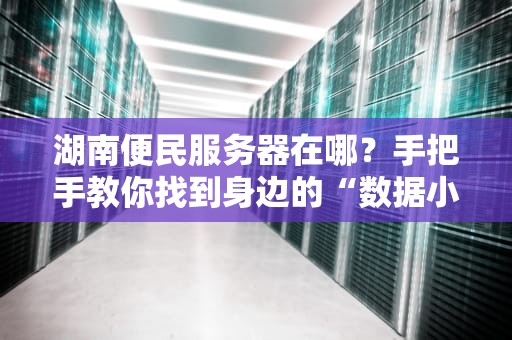湖南便民服务器在哪？手把手教你找到身边的“数据小管家”！