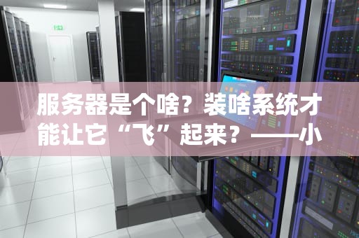 服务器是个啥？装啥系统才能让它“飞”起来？——小白也能看懂的服务器OS指南
