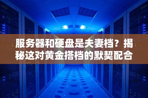 服务器和硬盘是夫妻档？揭秘这对黄金搭档的默契配合！