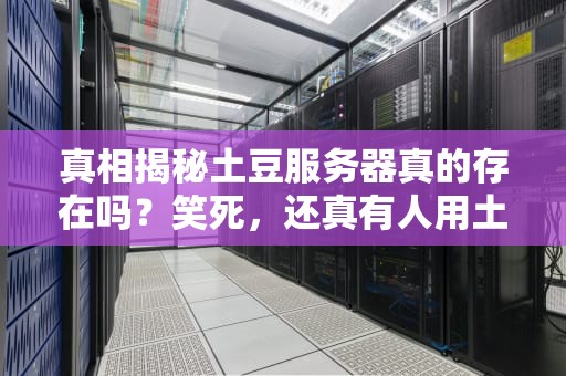 真相揭秘土豆服务器真的存在吗？笑死，还真有人用土豆发电！