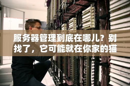 服务器管理到底在哪儿？别找了，它可能就在你家的猫窝里！