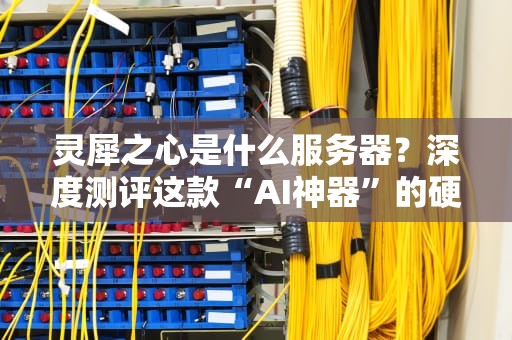 灵犀之心是什么服务器？深度测评这款“AI神器”的硬核实力！