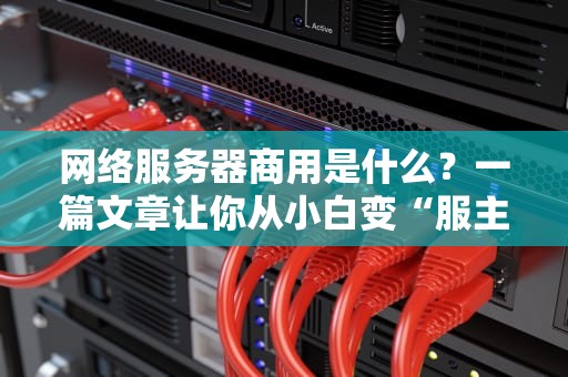 网络服务器商用是什么？一篇文章让你从小白变“服主”大佬！