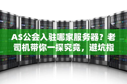 AS公会入驻哪家服务器？老司机带你一探究竟，避坑指南+性能实测！