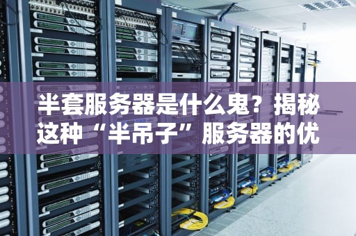 半套服务器是什么鬼？揭秘这种“半吊子”服务器的优缺点与应用场景！