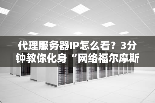 代理服务器IP怎么看？3分钟教你化身“网络福尔摩斯”！