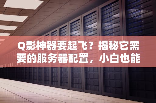 Q影神器要起飞？揭秘它需要的服务器配置，小白也能看懂！