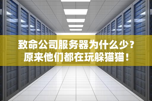 致命公司服务器为什么少？原来他们都在玩躲猫猫！