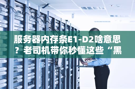 服务器内存条E1-D2啥意思？老司机带你秒懂这些“黑话”！