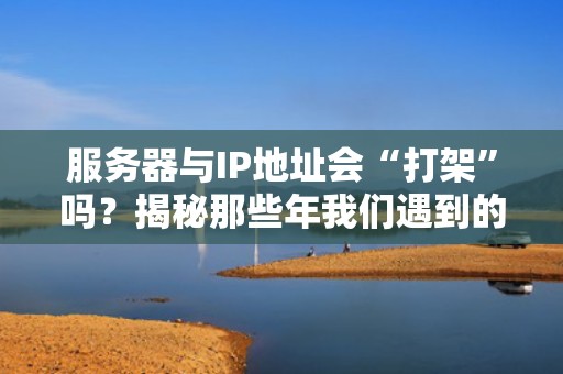 服务器与IP地址会“打架”吗？揭秘那些年我们遇到的网络冲突乌龙事件！