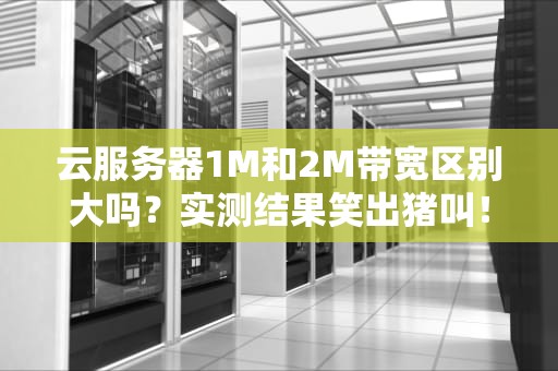 云服务器1M和2M带宽区别大吗？实测结果笑出猪叫！