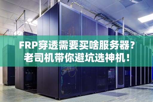 FRP穿透需要买啥服务器？老司机带你避坑选神机！
