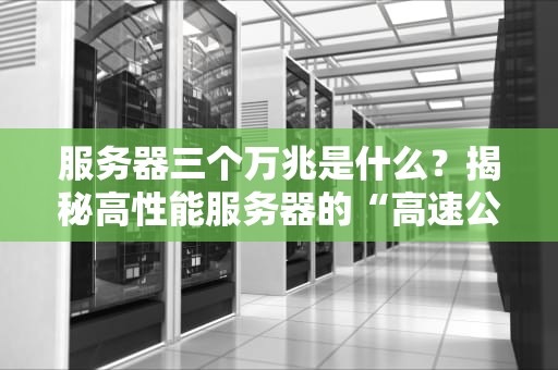 服务器三个万兆是什么？揭秘高性能服务器的“高速公路”
