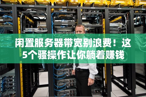 闲置服务器带宽别浪费！这5个骚操作让你躺着赚钱