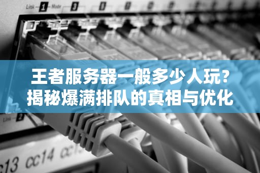 王者服务器一般多少人玩？揭秘爆满排队的真相与优化技巧！