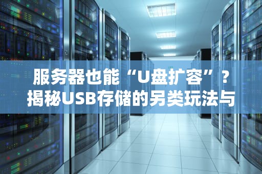 服务器也能“U盘扩容”？揭秘USB存储的另类玩法与专业避坑指南！