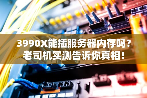 3990X能插服务器内存吗？老司机实测告诉你真相！