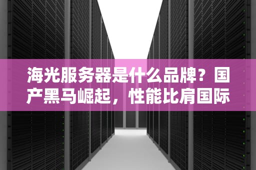 海光服务器是什么品牌？国产黑马崛起，性能比肩国际大厂？
