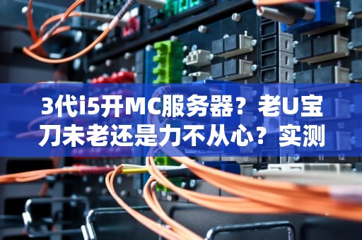 3代i5开MC服务器？老U宝刀未老还是力不从心？实测结果笑中带泪！
