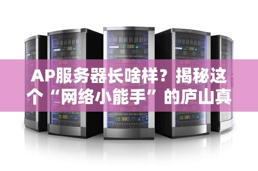 AP服务器长啥样？揭秘这个“网络小能手”的庐山真面目！